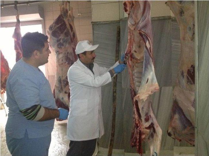 Düzce İl Gıda Tarım Ve Hayvancılık İl Müdürlüğü Mart Ayını Dolu Dolu Geçirdi G4