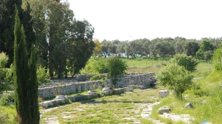 Aydın Koruma Kurulundan Didim&rsquo;e M&uuml;jdeli Haber