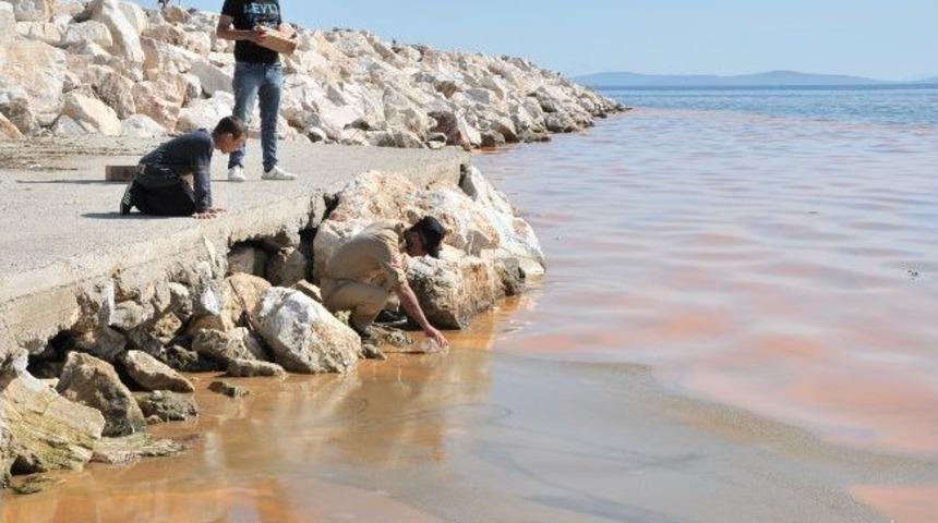 &Ccedil;anakkale'de Deniz Turuncuya D&ouml;nd&uuml;