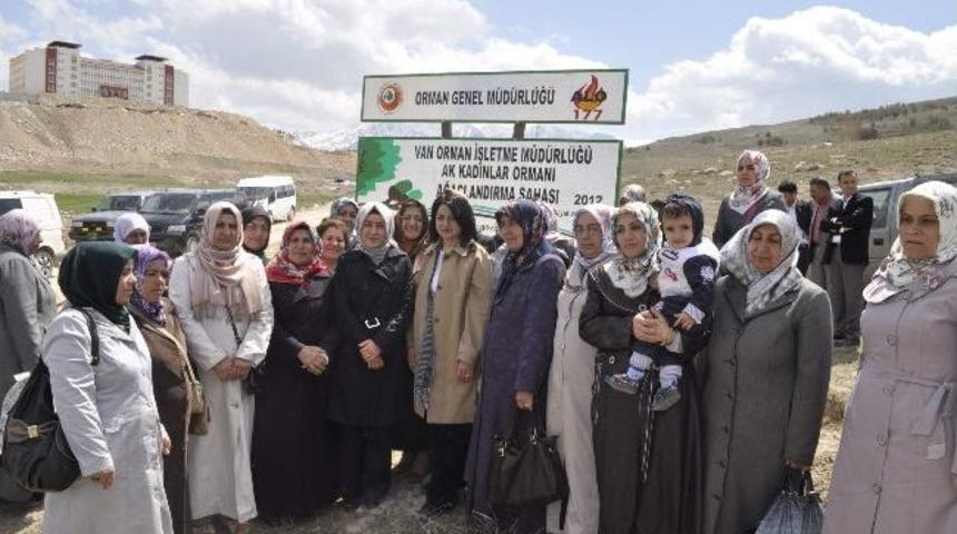 Ak Parti Van İl Teşkilatı 500 Fidan Dikti