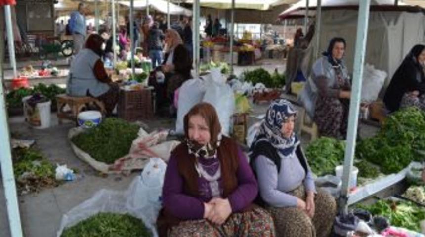 Madımak Merzifon Pazarlarında G&ouml;r&uuml;lmeye Başladı