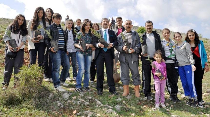 Zile&rsquo;de 550 Fidan Toprakla Buluştu