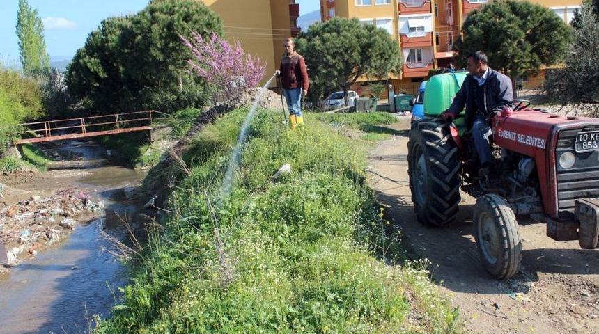 Edremit Belediyesi Haşere M&uuml;cadelesi Başlattı