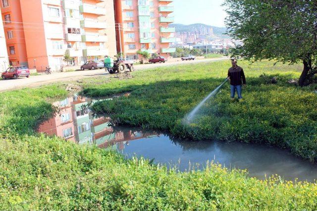 Edremit Belediyesi Haşere Mücadelesi Başlattı