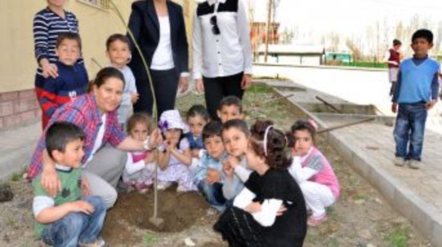 Hask&ouml;y Menekşe Anaokulu &Ouml;ğrencileri Fidan Dikti