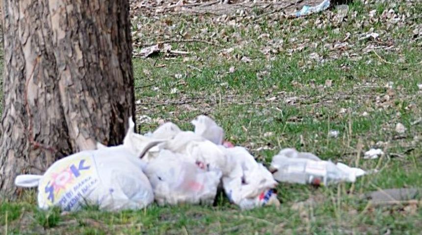 Pikniğe Mi, &Ccedil;&ouml;pl&uuml;ğe Mi