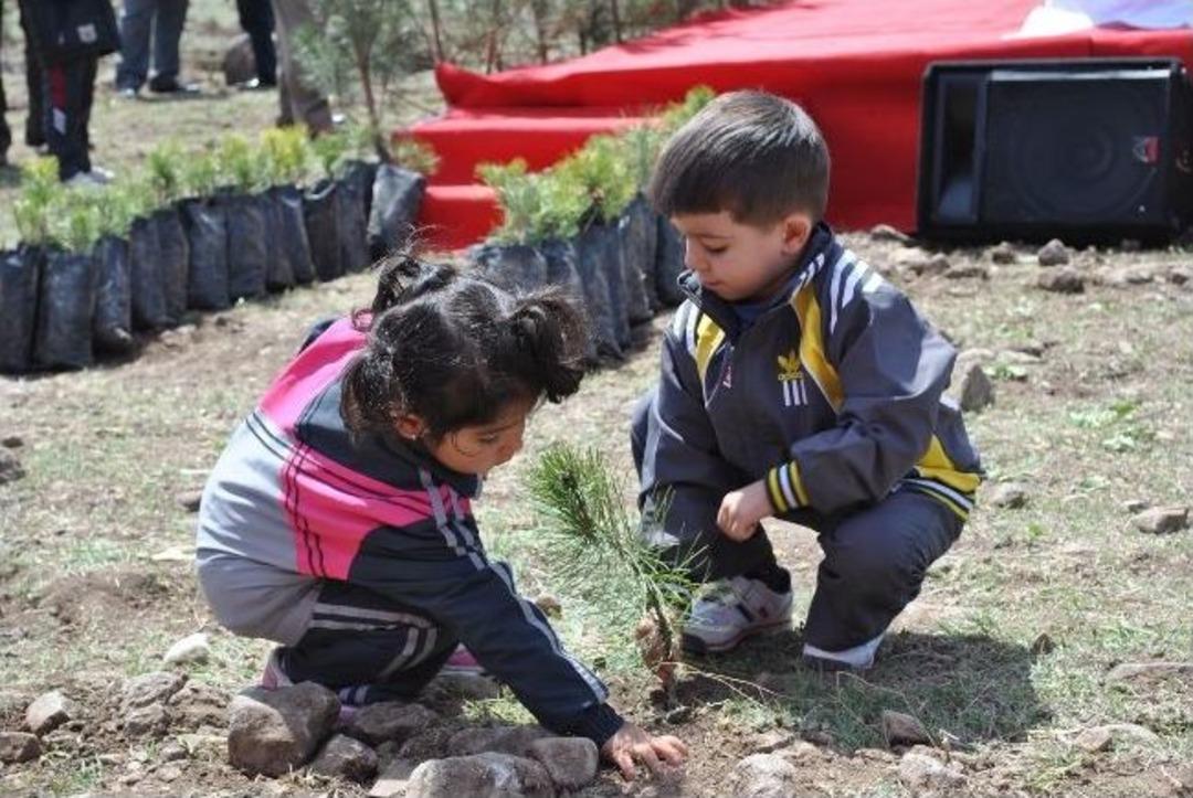 Ak Kadınlar Ormanına 100 Bin Fidan Dikilecek