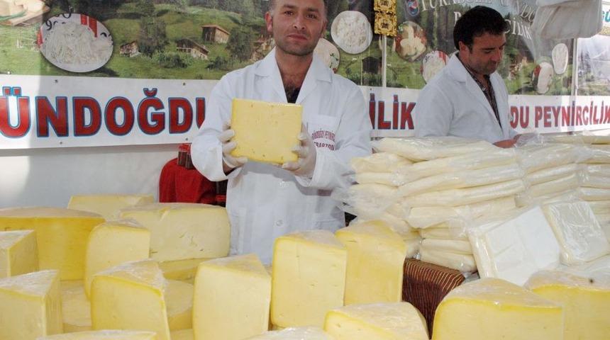 T&uuml;rkiye&rsquo;nin Peynir &Ccedil;eşitleri Bu Festivalde