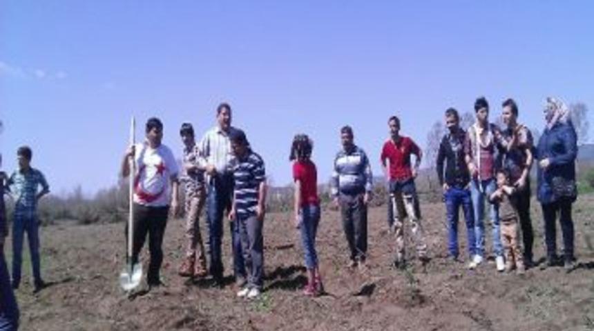 Bolu&rsquo;da M&uuml;lteci Aileler İ&ccedil;in Hatıra Ormanı