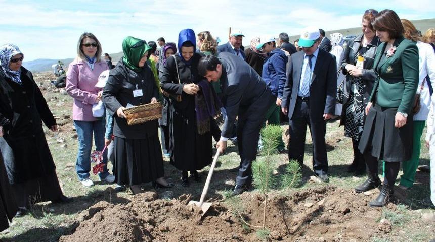 AK Partili Kadınların Hedefi 100 Bin Fidan Dikimi