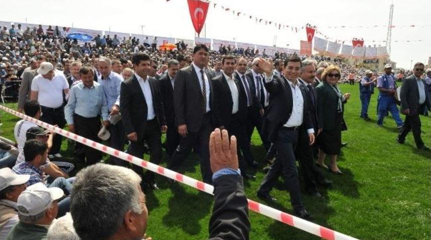 Başkan T&uuml;t&uuml;nc&uuml; 9. Geleneksel Yağlı Pehlivan G&uuml;reşlerine Katıldı