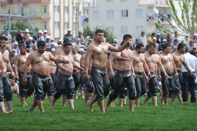 Başkan Tütüncü 9. Geleneksel Yağlı Pehlivan Güreşlerine Katıldı