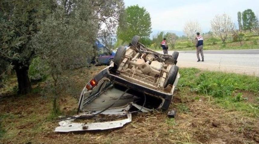 Otomobil Zeytinliğe U&ccedil;tu: 3 Yaralı