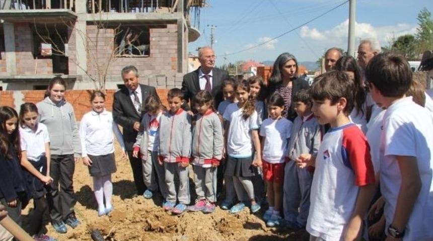 Burhaniye&rsquo;de &Ouml;ğrenciler Fidan Dikti