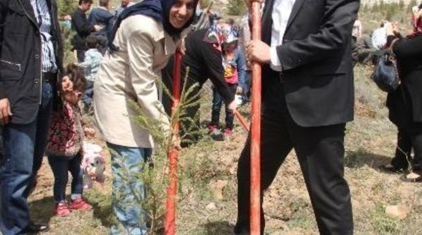 Nevşehir&rsquo;de Ak Kadınlar Hatıra Ormanı Oluşturuldu