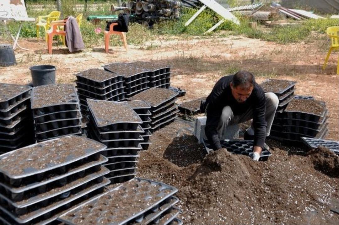 Park Ve Bah&ccedil;e M&uuml;d&uuml;rl&uuml;ğ&uuml; Yeşillendirme &Ccedil;alışmalarına Devam Ediyor