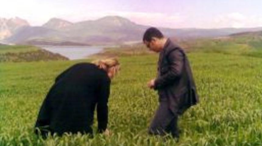 Yetkililer &Ccedil;ift&ccedil;ileri Buğday Pas Hastalığına Karşı Uyardı