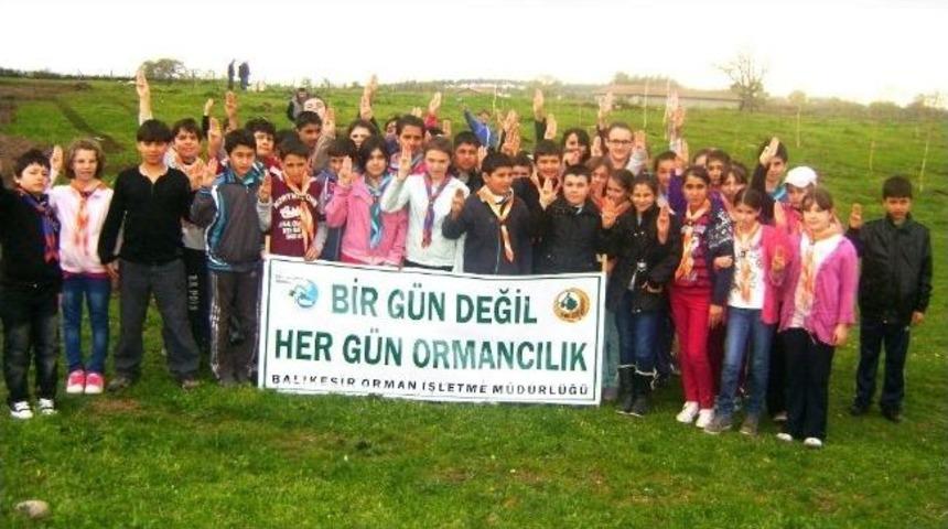 Balyalı İzciler Fidan Dikti