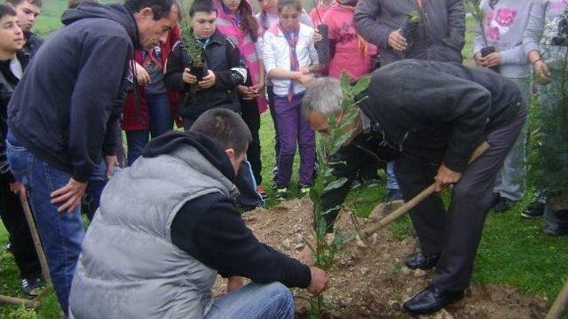 Balyalı İzciler Fidan Dikti