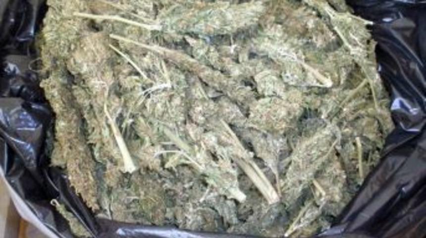 Polis K&ouml;peği Sedef 10 Kilo Esrarın Yerini Tespit Etti