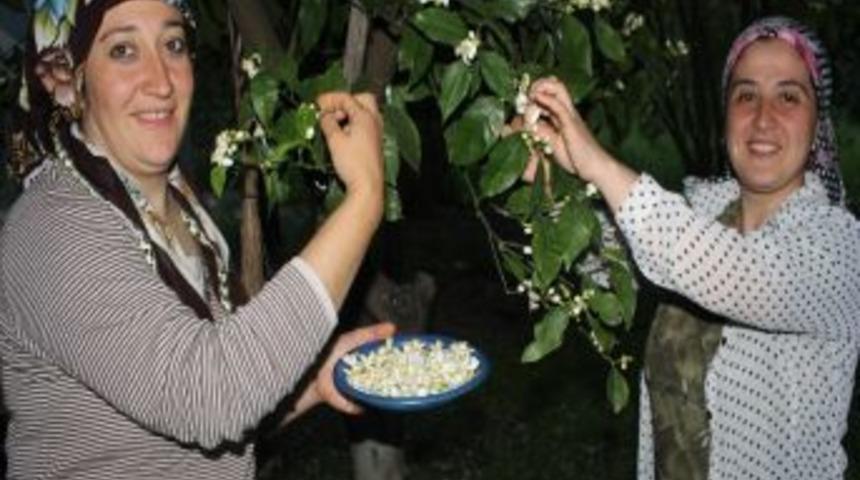 Portakal &Ccedil;i&ccedil;eğinden Yapılan Kolyeler Evleri S&uuml;sl&uuml;yor