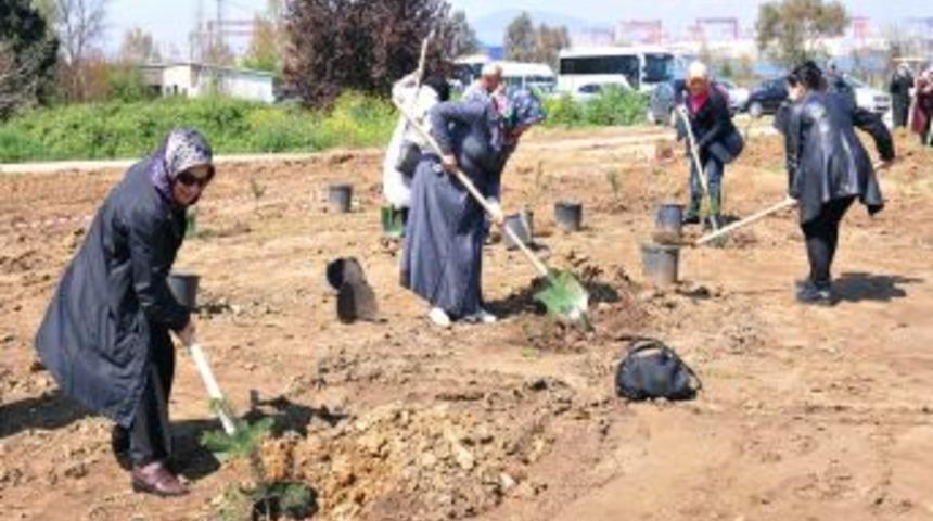 Kadın Kent G&ouml;n&uuml;ll&uuml;leri, Fidanlık Oluşturdu