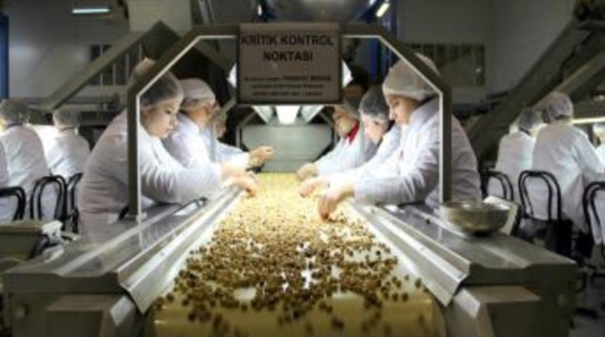 TTB, Fındık Se&ccedil;me Elemanı Yetiştirecek