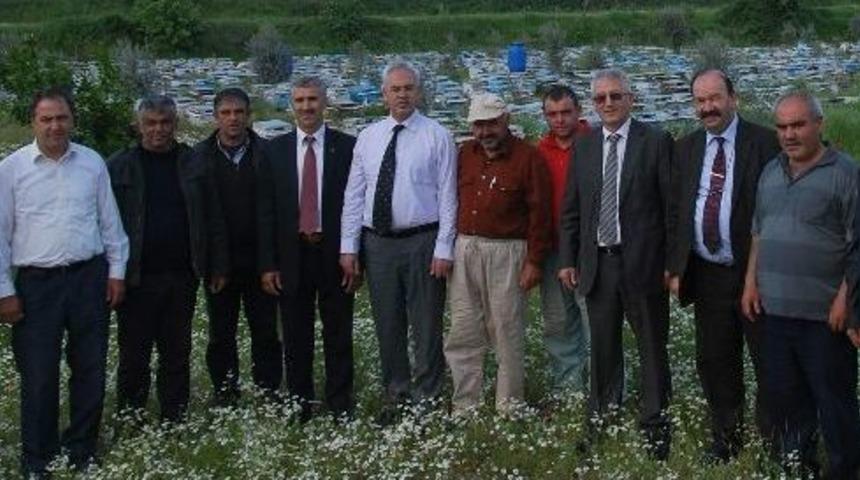 Arıcılar Tarım İl&ccedil;e M&uuml;d&uuml;rl&uuml;ğ&uuml;&rsquo;n&uuml;n Duyarsızlığından Dert Yandı