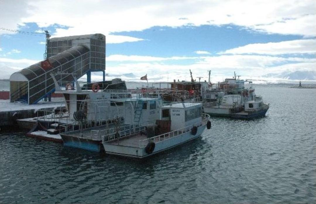 İnci Kefali Balığı Avlanma Yasağı Başladı