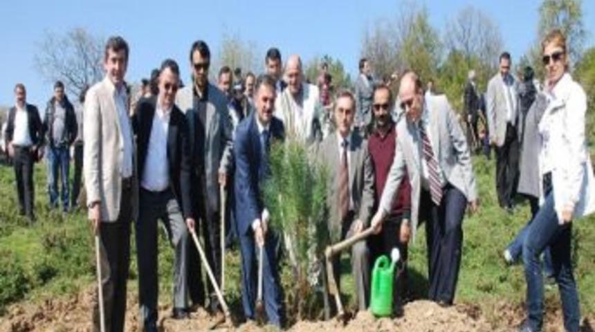 Gemlik&rsquo;e &lsquo;nezih Dimili Hatıra Ormanı&rsquo;