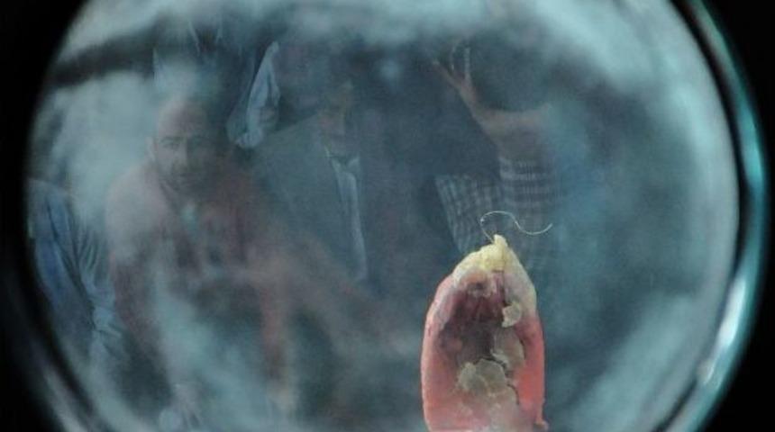 Sakal-ı Şerif Erdemli&rsquo;de