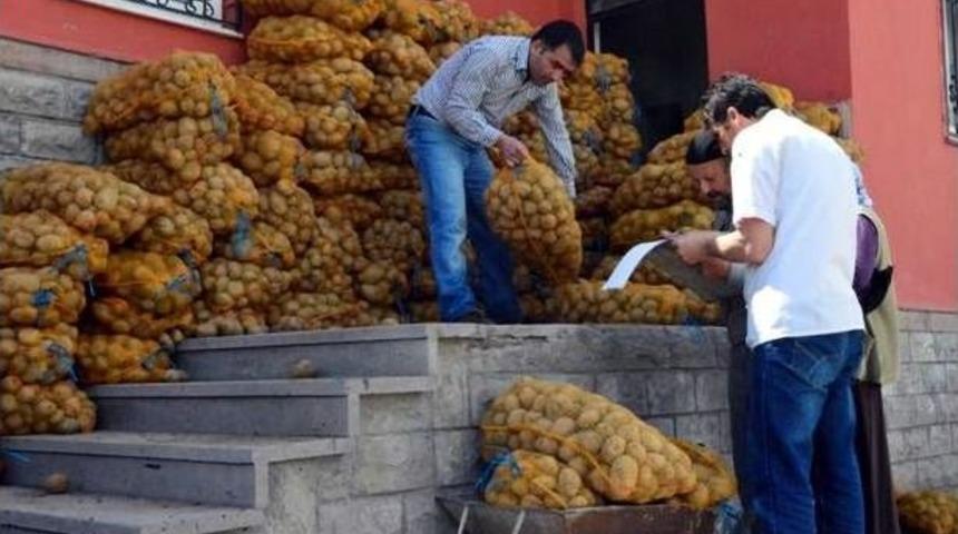 Kocasinan Belediyesi, Patates Dağıttı