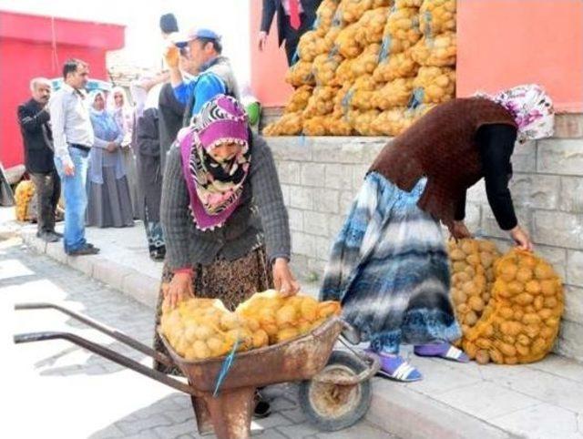 Kocasinan Belediyesi, Patates Dağıttı