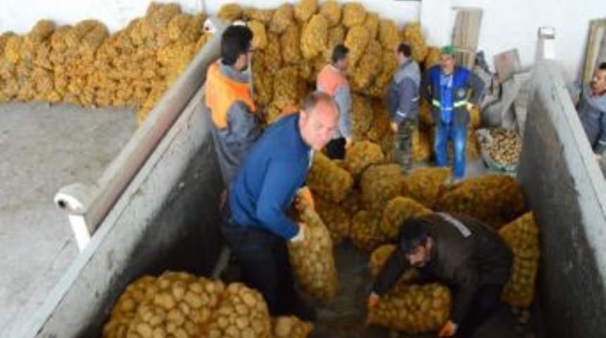 Kocasinan Belediyesi Ihtiya&ccedil; Sahiplerine Patates Dağıttı