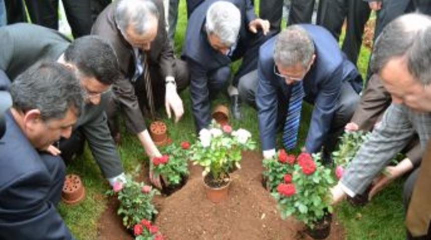 Kutlu Doğum I&ccedil;in Kahramanmaraş G&uuml;llerle Donatılıyor