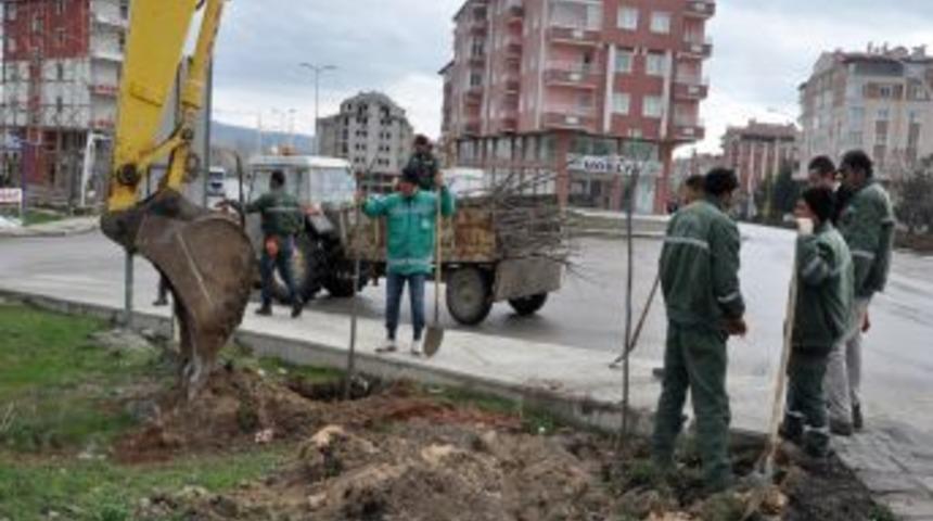 Kazan&rsquo;da Yol Kenarlarına 5 Bin Ağa&ccedil; Dikildi