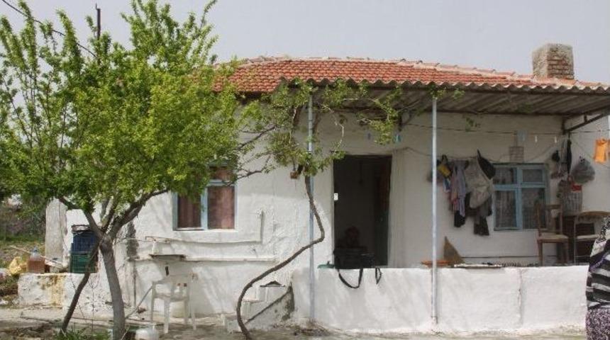 Erik Ağa&ccedil;ları Tuhaf Meyveler Verdi