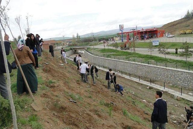 Sungurlu’da ‘bir Fidan, Bir Nefes’ Kampanyası