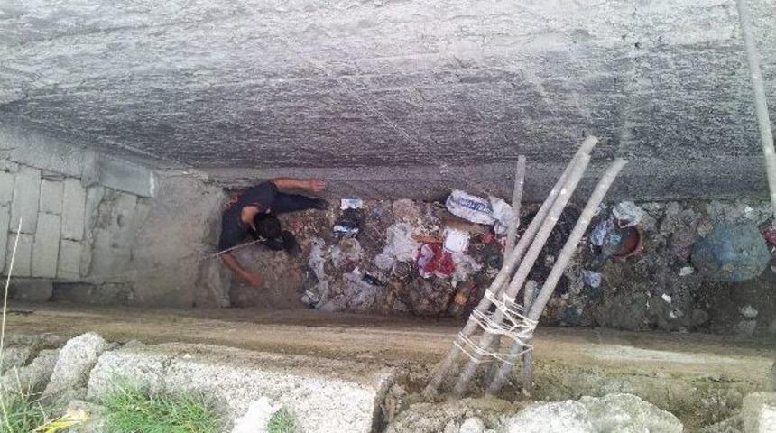 İtfaiye’nin Kedi Ve Kuş Mesaisi