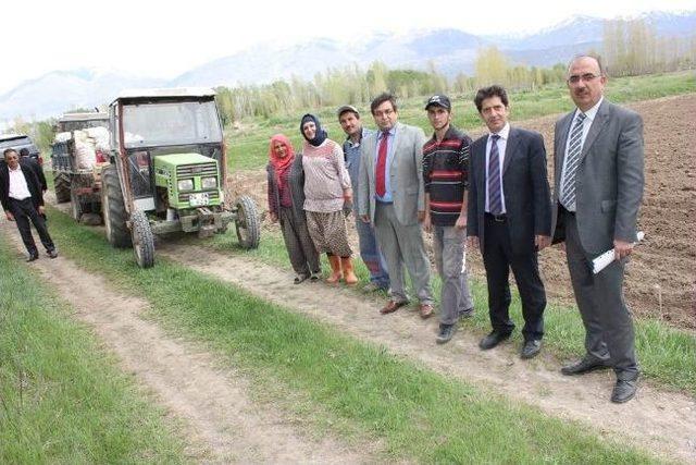 Erzincan’da Patates Yetiştiriciliği