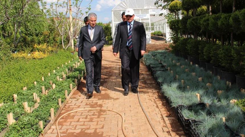 Vali Kocatepe Belediye Serasını Inceledi