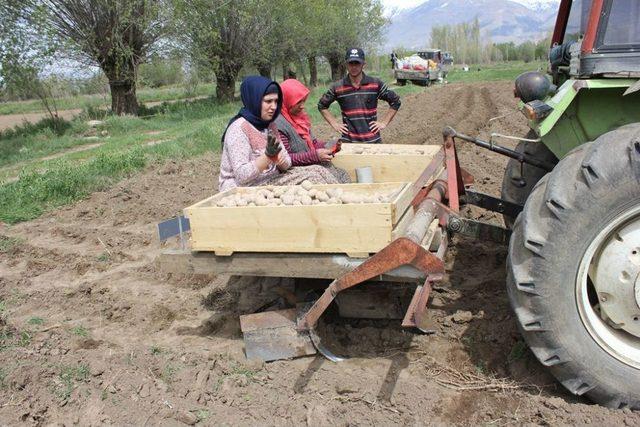 Patates Üretiminin Yaygınlaşması Için Çalışma Başlatıldı