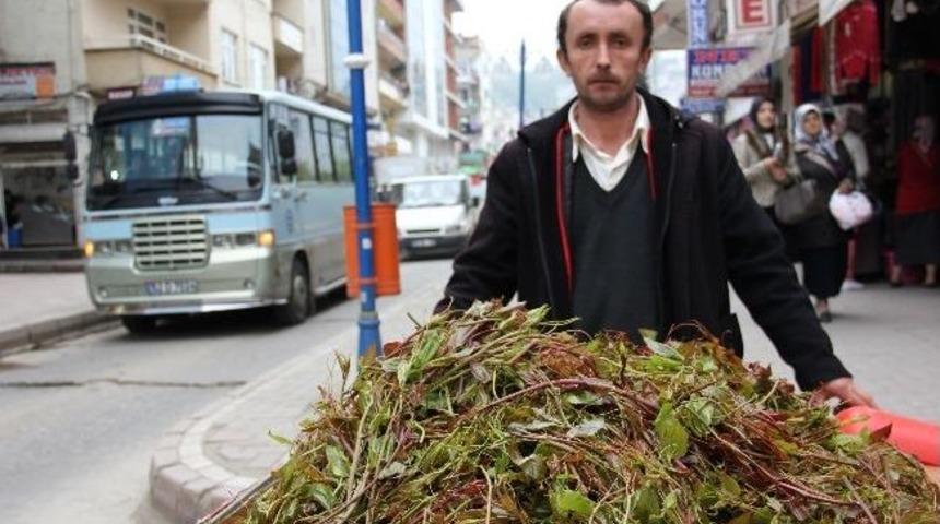 Şifa Deposu Merucen Seyyar Pazarda