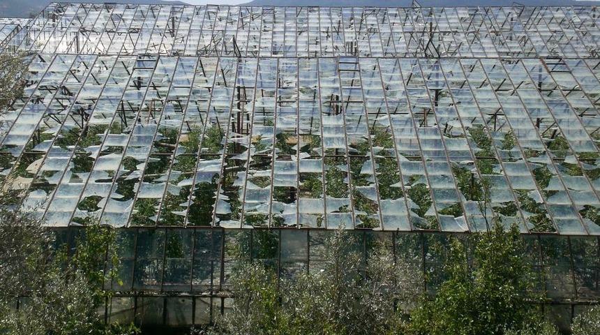 Dolu, Seralarda Sağlam Cam Bırakmadı