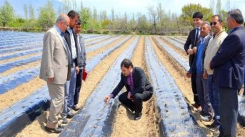Niğde&rsquo;de &Ccedil;ilek &Uuml;retimi Yaygınlaştırılıyor