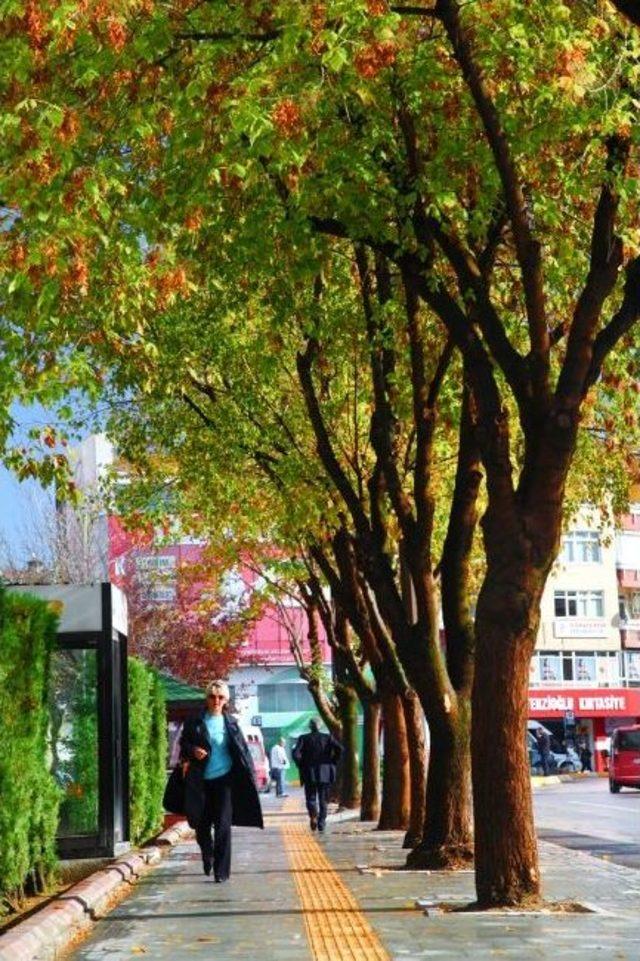 Sakarya Şehir Merkezi Güzelleşiyor