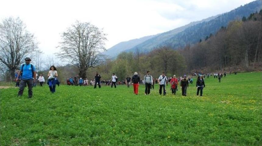 Doğa Y&uuml;r&uuml;y&uuml;şleri Devam Ediyor