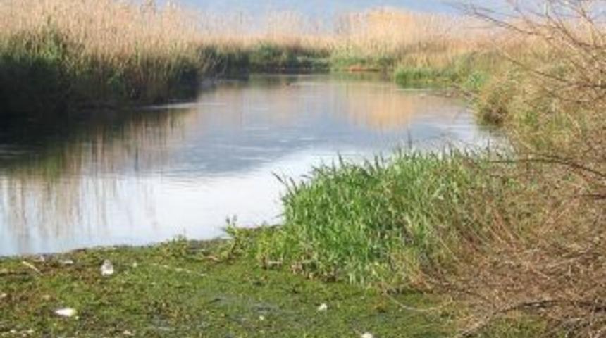 Belediye, Durgun Su Birikintilerini Temizliyor