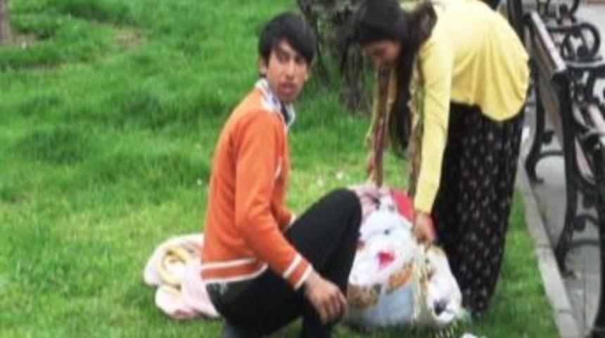 &Ccedil;imlerin &Uuml;zerindeki Boh&ccedil;a Korkuttu