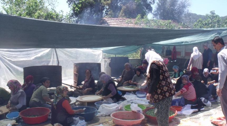 İlk&ouml;ğretim Okulunda Katmer Şenliği